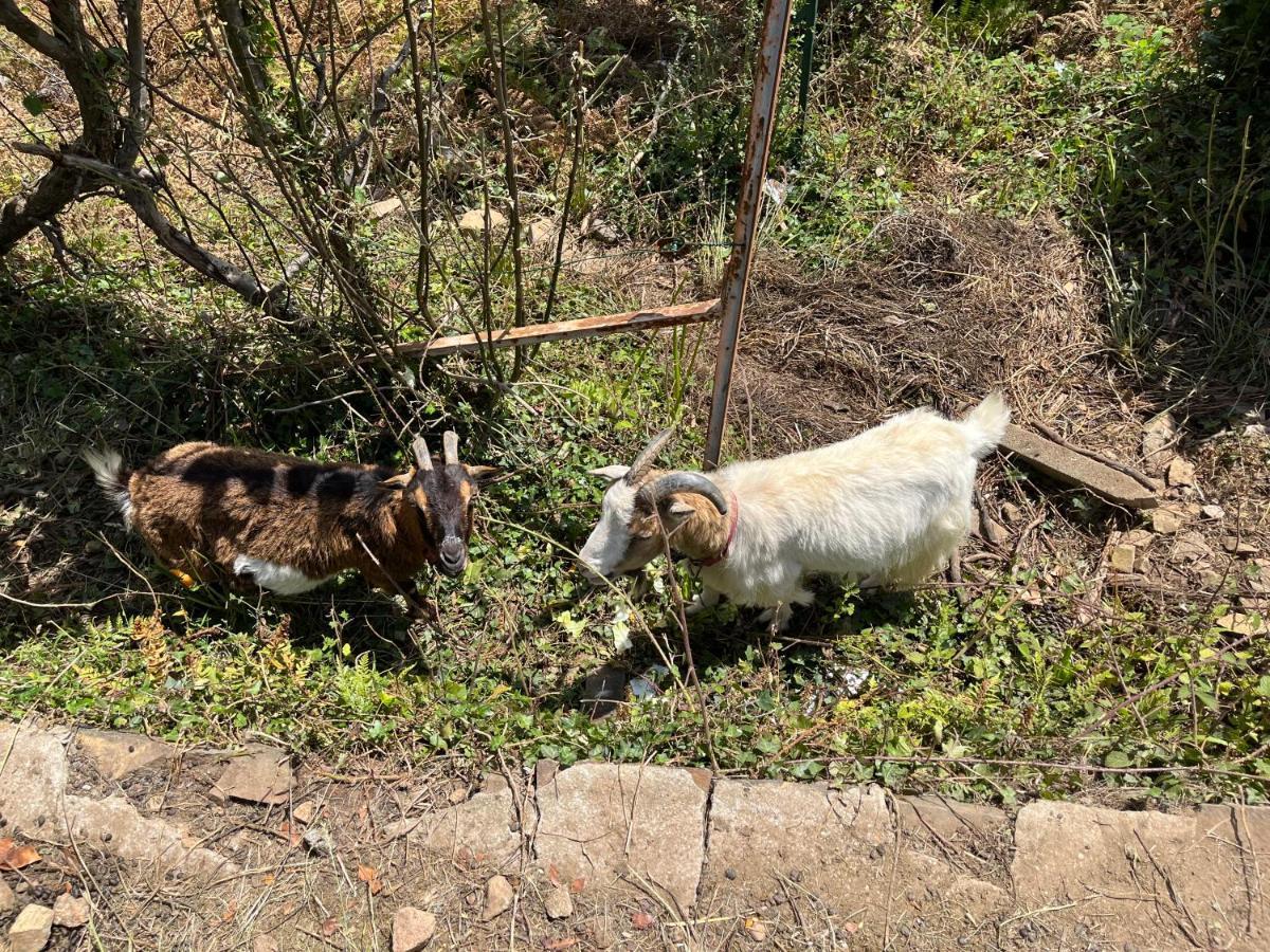 Résidence Trebuic Hébergement de vacances Perros-Guirec